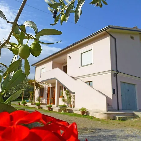 Il Giardino Degli Ulivi Casa vacanze Teulada